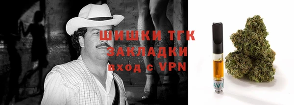 ПСИЛОЦИБИНОВЫЕ ГРИБЫ Заводоуковск