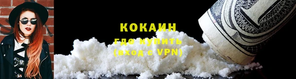 ПСИЛОЦИБИНОВЫЕ ГРИБЫ Заводоуковск