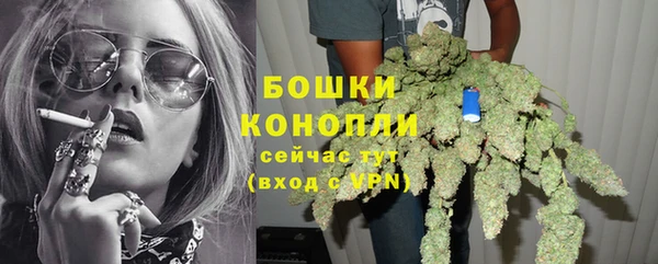 ПСИЛОЦИБИНОВЫЕ ГРИБЫ Заводоуковск