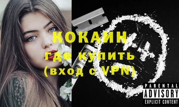 ПСИЛОЦИБИНОВЫЕ ГРИБЫ Заводоуковск