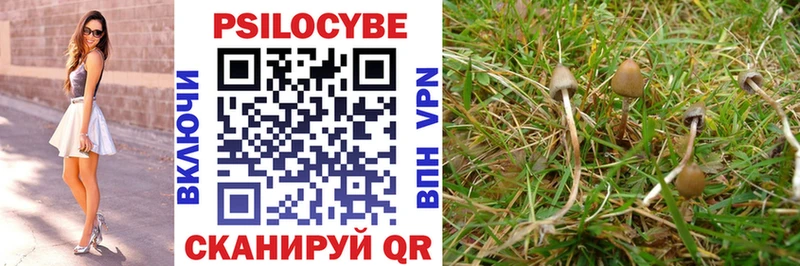 Псилоцибиновые грибы MAGIC MUSHROOMS  Купить  Калач-на-Дону 